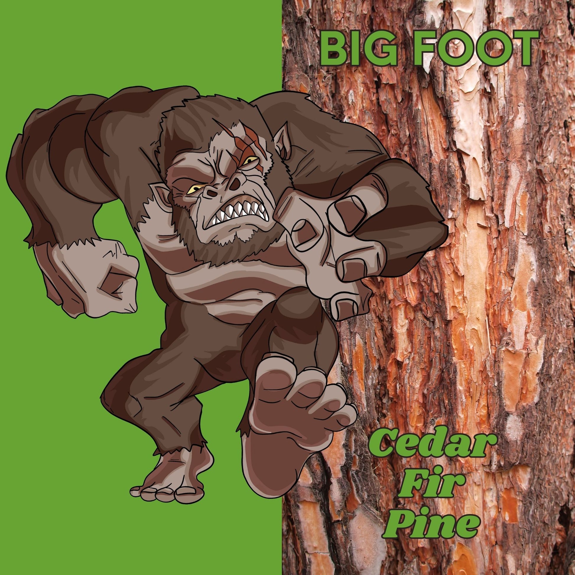 Big Foot - Cedar Fir Pine