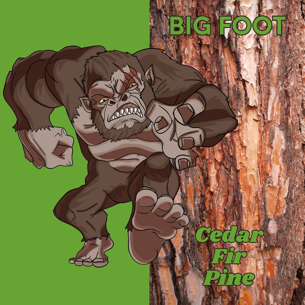 Big Foot - Cedar Fir Pine